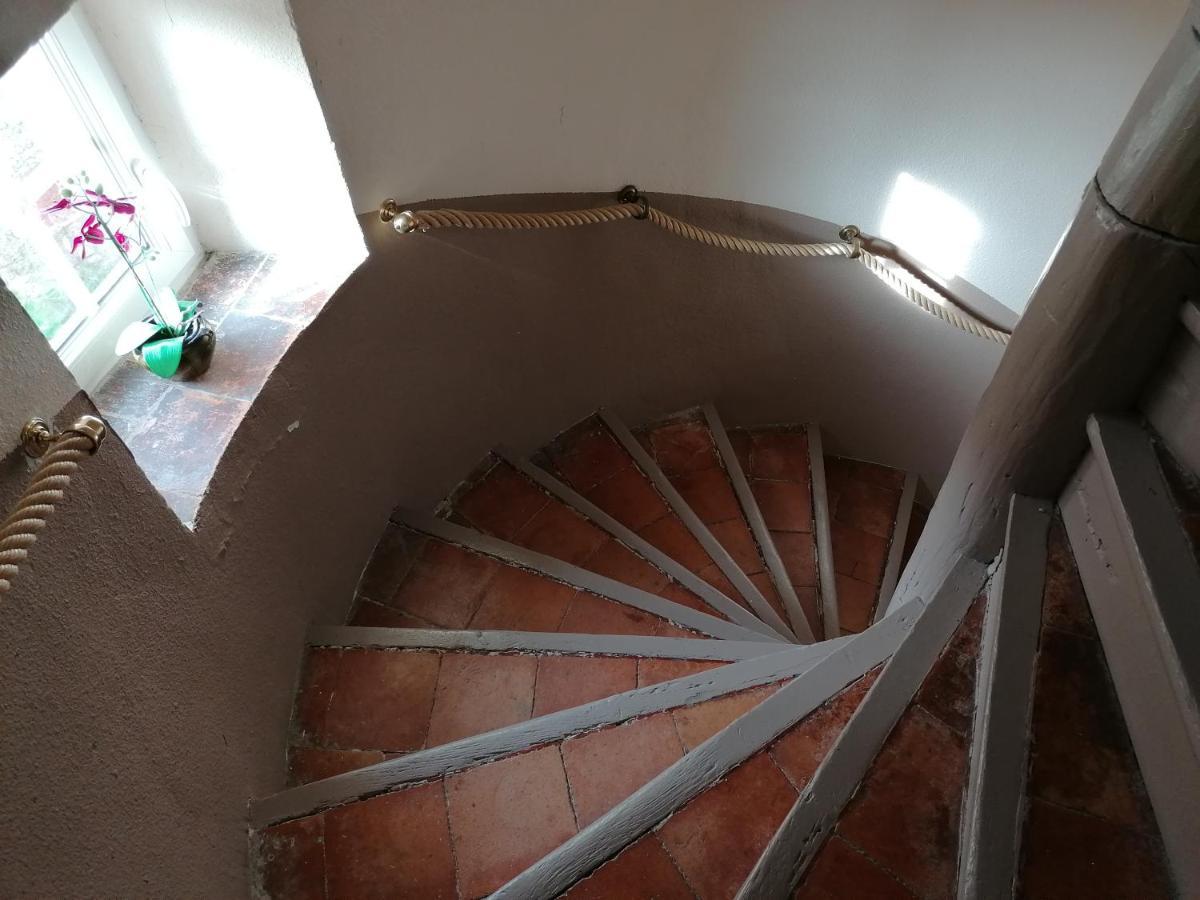 Gite Josephine Dans Une Tour Medievale - Carcassonne Saint-Hilaire-de l'Aude Eksteriør bilde